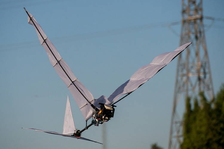 Aranyaksha – Biomimetic Ornithopter